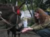 Всемирный день животных 2008 год